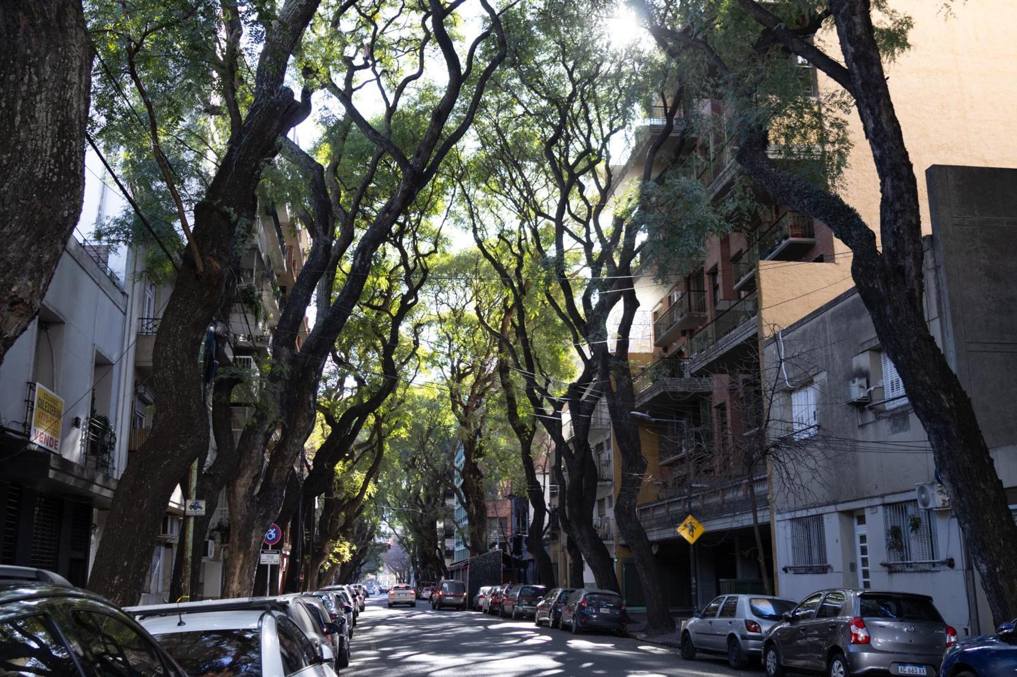 Palermo Soho G4827 - Departamentos Modernos, Amplios Y Luminosos Apartman Buenos Aires Kültér fotó