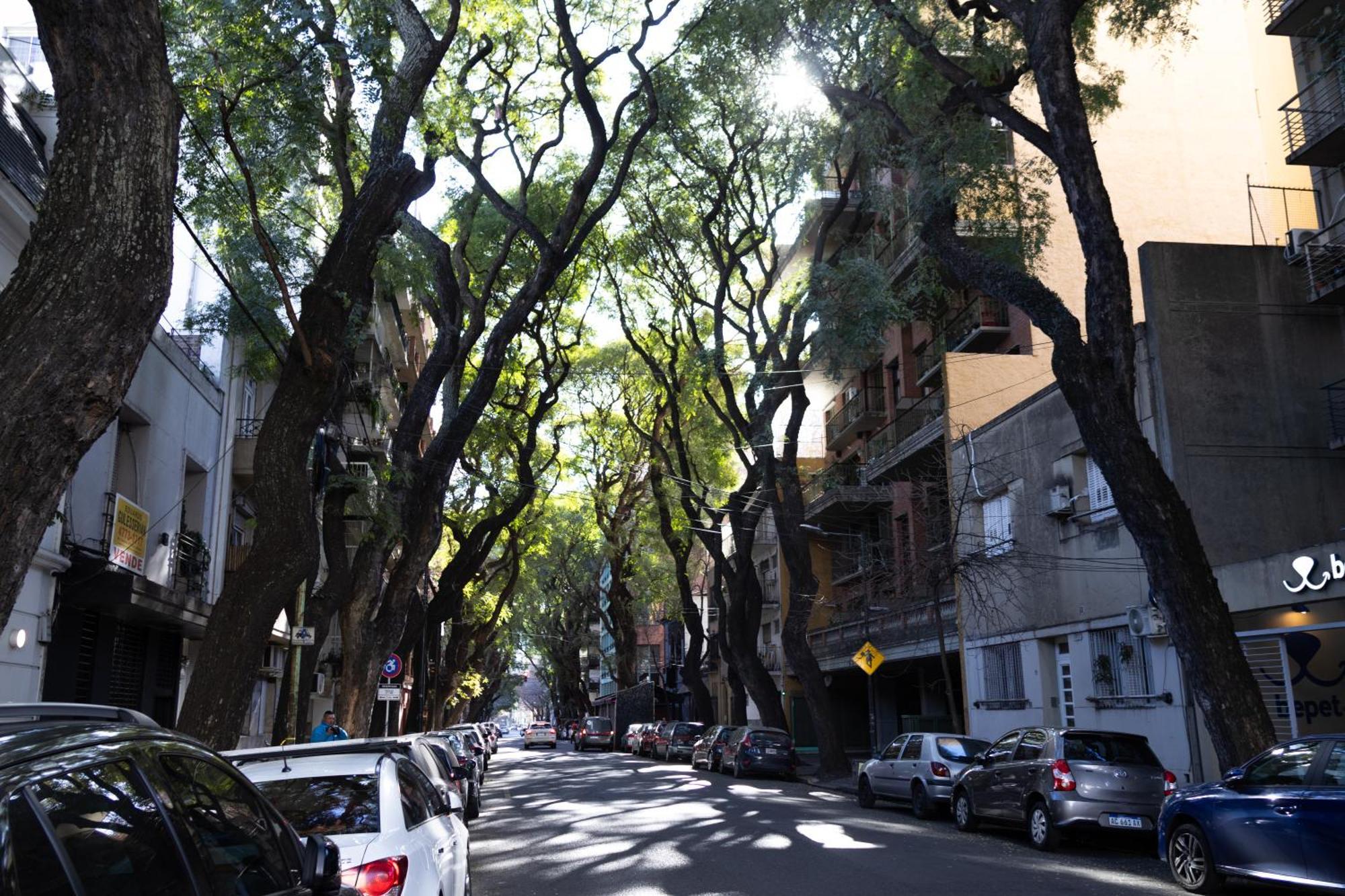 Palermo Soho G4827 - Departamentos Modernos, Amplios Y Luminosos Apartman Buenos Aires Kültér fotó